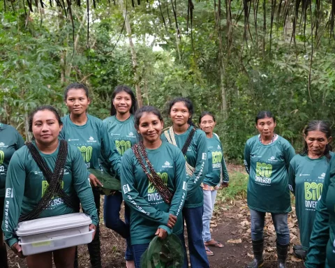 Sustainable projects bring income for women Rikbaktsa