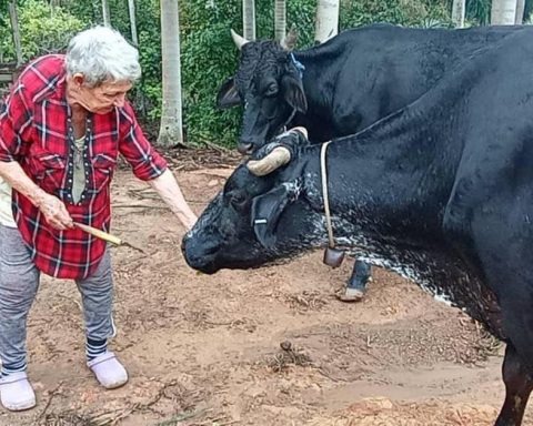 The Ministry of Agriculture returns to the Ruiz Urquiola family the confiscated animals