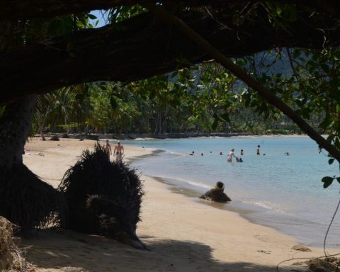 El encanto de Playa Bonita: naturaleza y aventura en un destino único en Las Terrenas