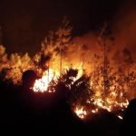 The fire in Pinar del Río adds seven spotlights and 460 hectares of forest destroyed