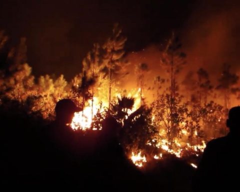 The fire in Pinar del Río adds seven spotlights and 460 hectares of forest destroyed