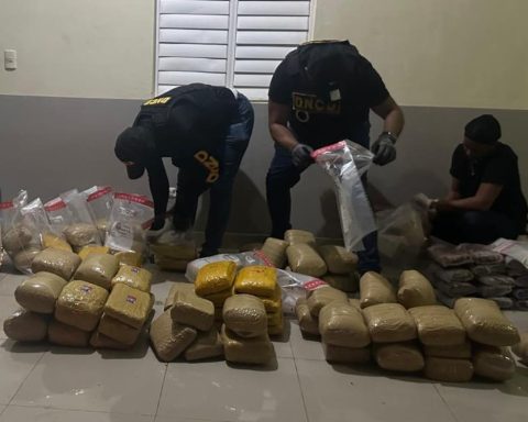 Desmantelan red de narcotráfico en Pedernales: 297 libras de marihuana