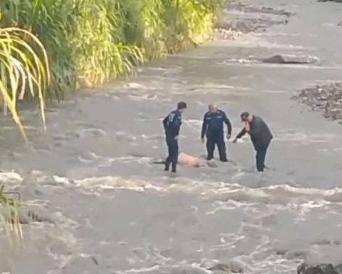 They find an octogenarian body in Rio de Portuguesa