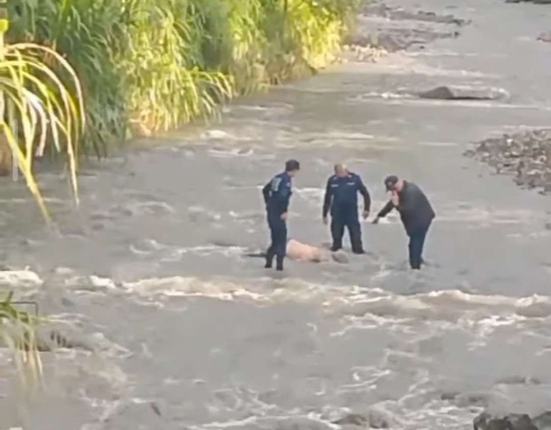 They find an octogenarian body in Rio de Portuguesa