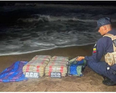 They seize 994 kilos of drugs and 13 vehicles to Narcoalcaldes Network