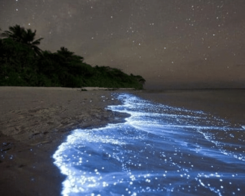 This is the beach where the sea shines the most at night in Colombia