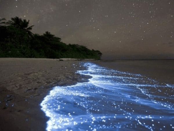 This is the beach where the sea shines the most at night in Colombia