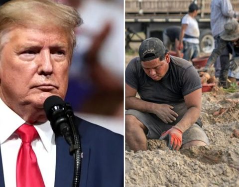 Trump, agricultores