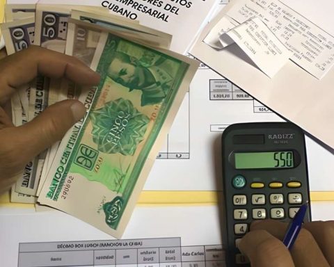 Two weeks after closing, the declaration of personal income in Cuba barely exceeds 50 %