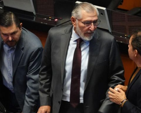 UN-DH calls the Senate to guarantee freedom of expression in Mexico