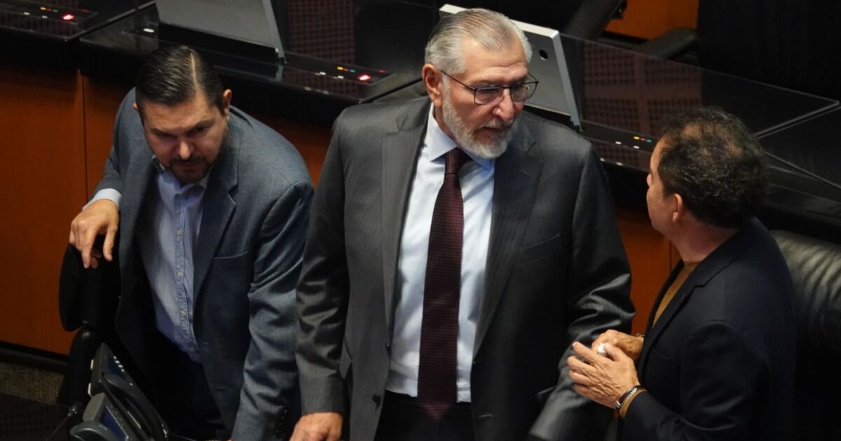 UN-DH calls the Senate to guarantee freedom of expression in Mexico