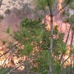Under control four of the seven active forest fires in Pinar del Río