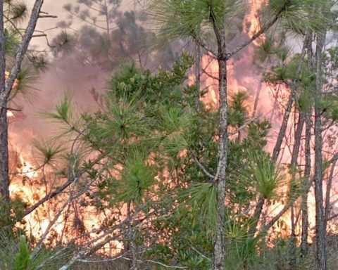 Under control four of the seven active forest fires in Pinar del Río