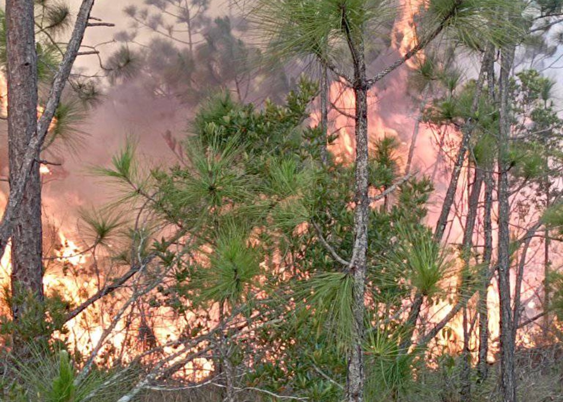 Under control four of the seven active forest fires in Pinar del Río