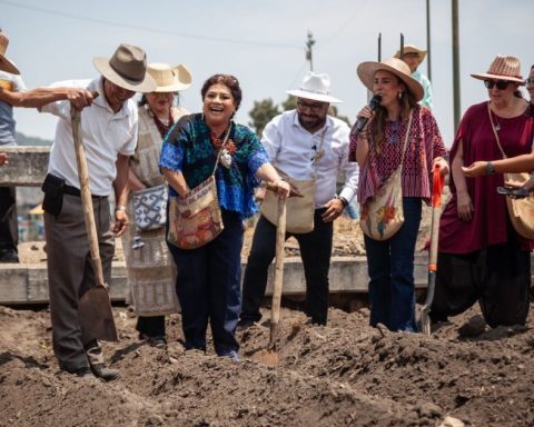 Utopia Mother Earth will be the first in Tlalpan