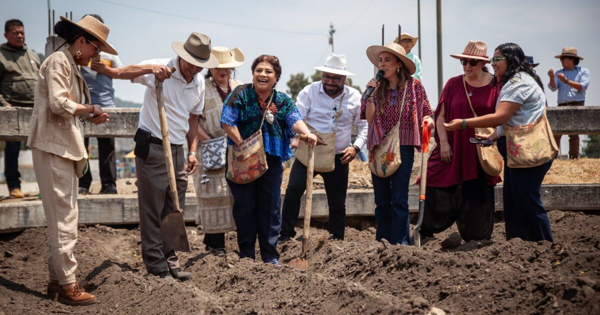 Utopia Mother Earth will be the first in Tlalpan