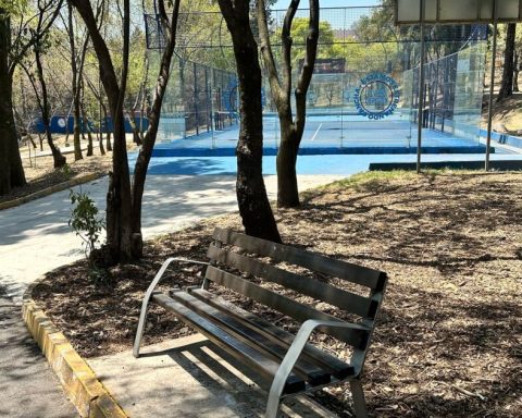 Utopia or public park? Frenan Brugada star project in Álvaro Obregón