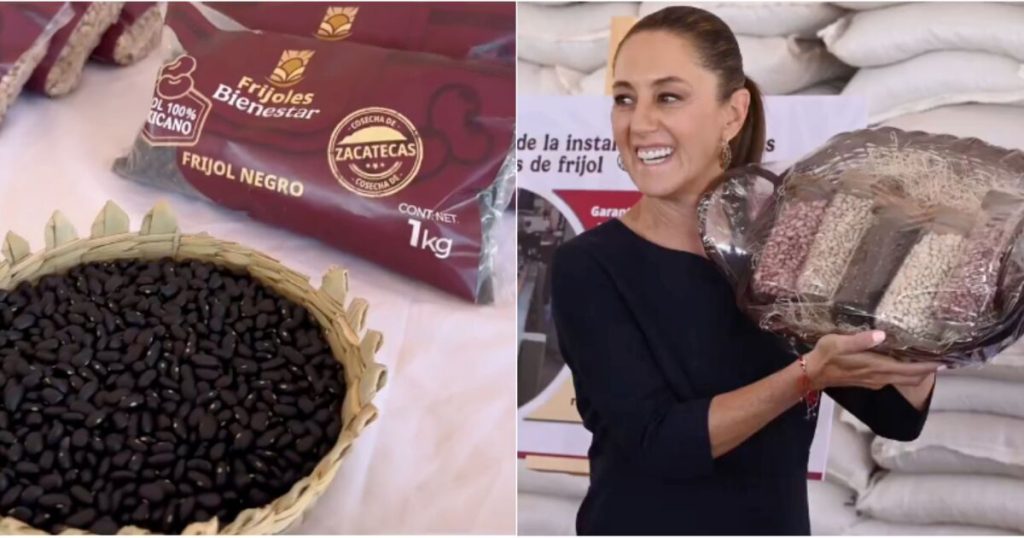 Welfare beans, the new commitment to food self -sufficiency