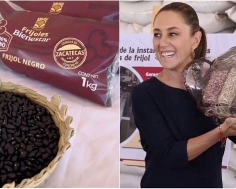 Welfare beans, the new commitment to food self -sufficiency