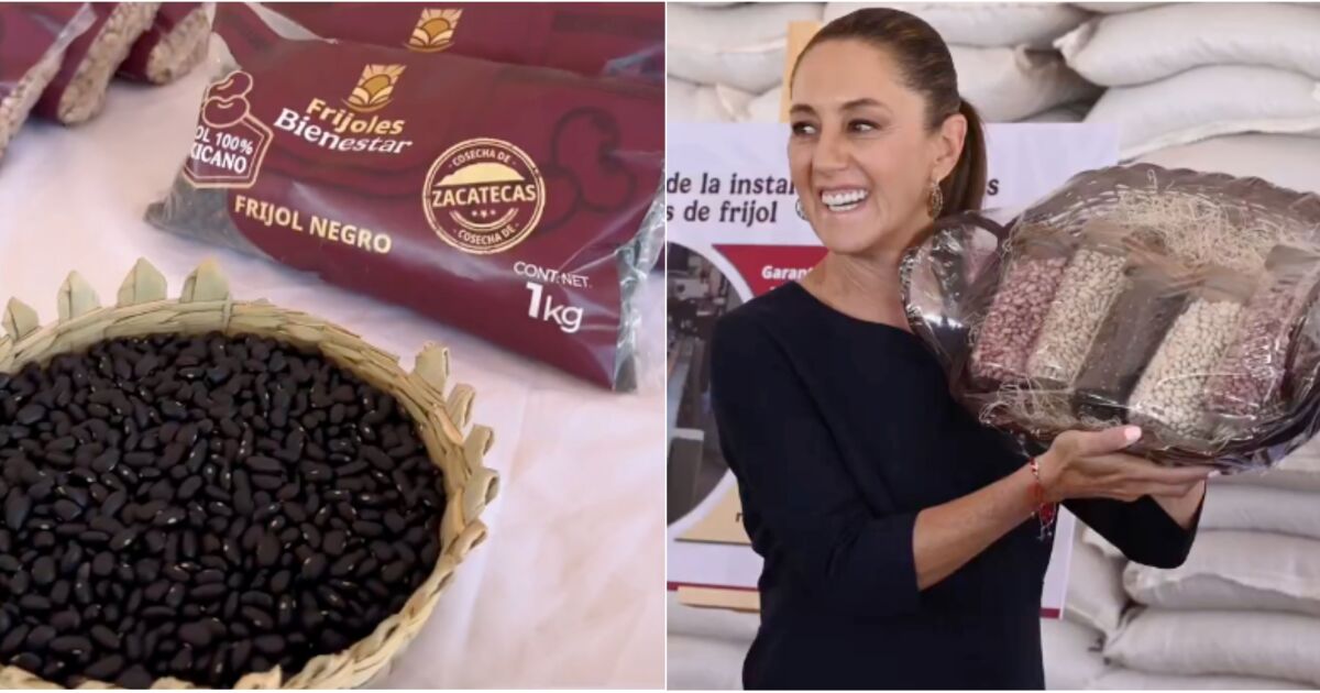 Welfare beans, the new commitment to food self -sufficiency