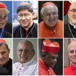 Who will happen to Francisco? Some papables with a view to the conclave