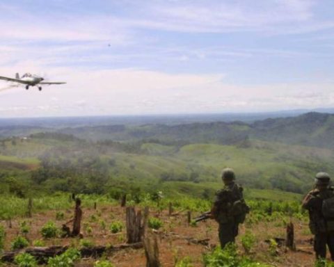 Why Colombia will use glyphosate to eradicate coca crops