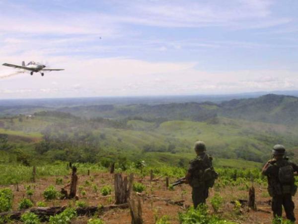 Why Colombia will use glyphosate to eradicate coca crops