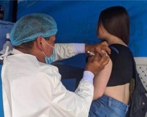 Yellow fever: step by step to achieve the vaccination certificate before traveling