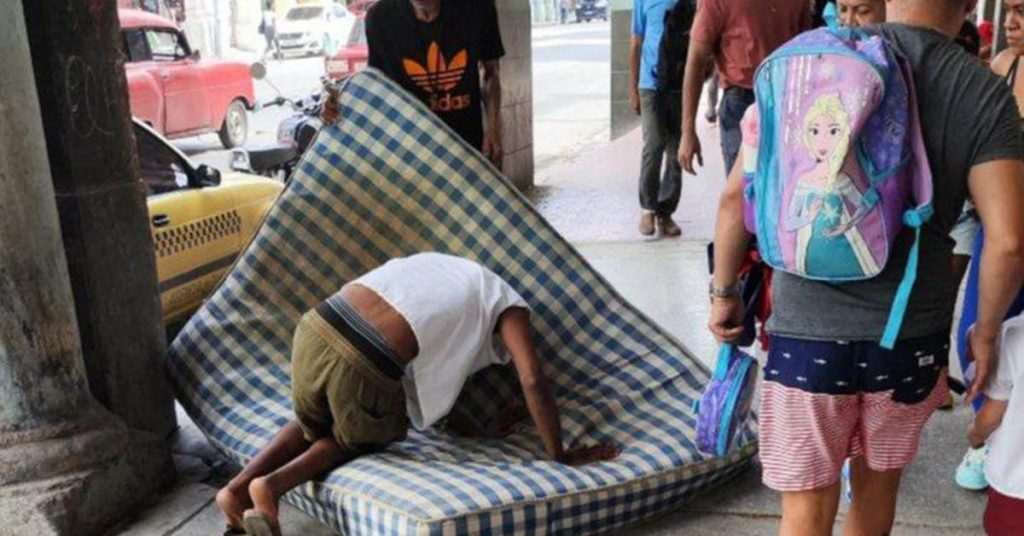 A plague of bed bugs, which lacked Cubans to sink them even more in misery