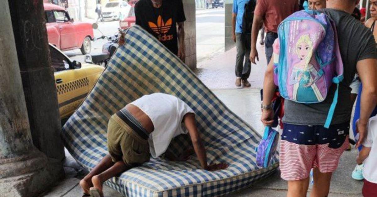 A plague of bed bugs, which lacked Cubans to sink them even more in misery