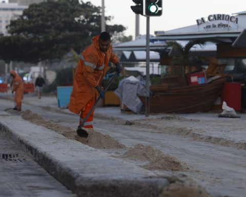 After giant waves, five penguins appear dead on the edge of the river