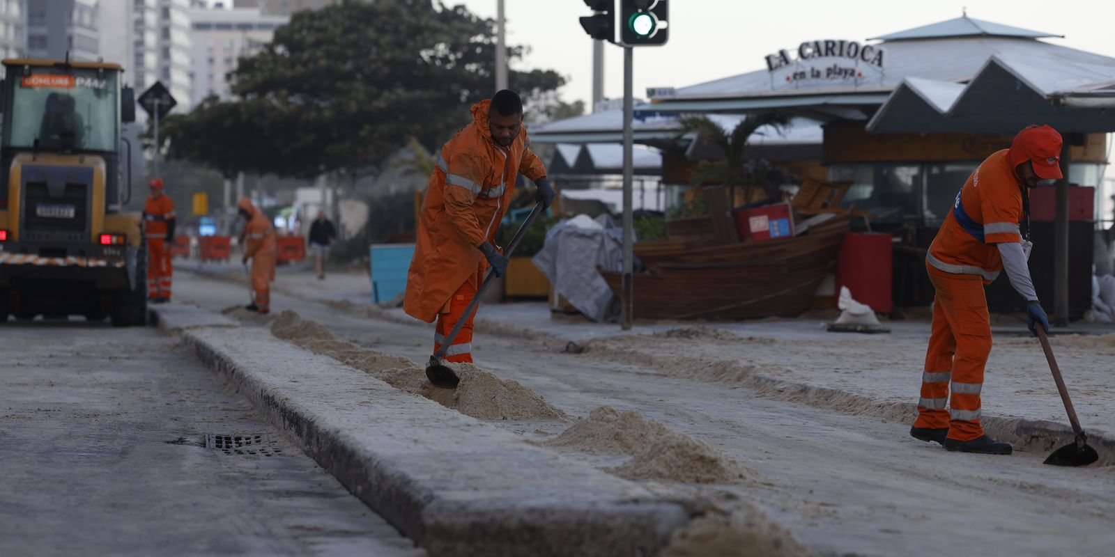 After giant waves, five penguins appear dead on the edge of the river