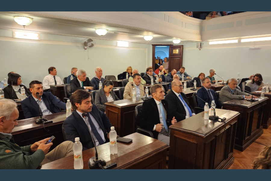 All who make up the Departmental Board of Colonia 2025 - 2030