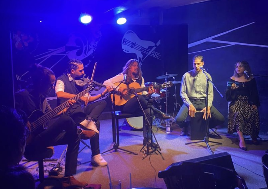 Anesthesia at the Casa de la Bombilla Green