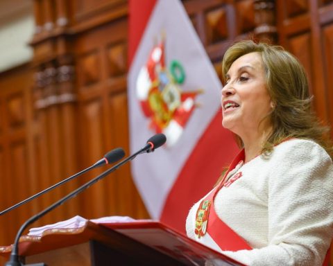 Boluarte highlights actions against illegal mining: "This government has acted with responsibility"