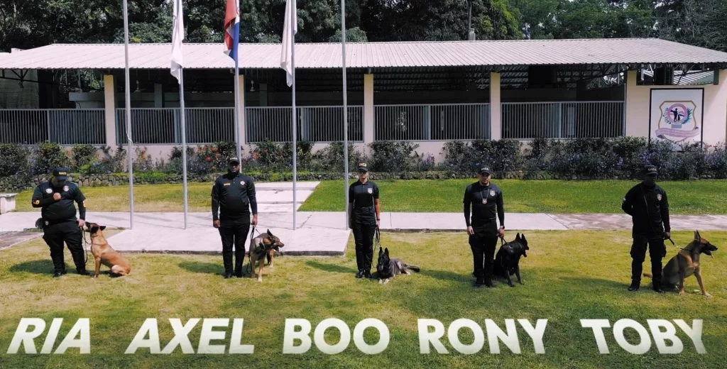 Canine units of the DNCD are key pieces in the anti -drug fight