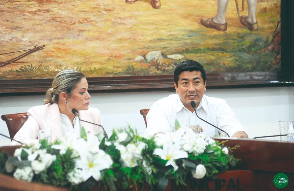 Case Curules: Alcócer and Mucarzel observe that the TSE fault was divided