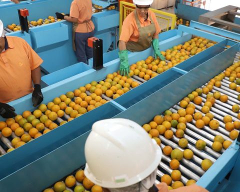 Check out the list of almost 700 products that will not be taxed by the USA