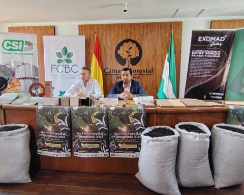 Concepción prepares for the 5th Chiquitania 2025 Forest Fair and the Social Business Meeting of the Forestry Industry