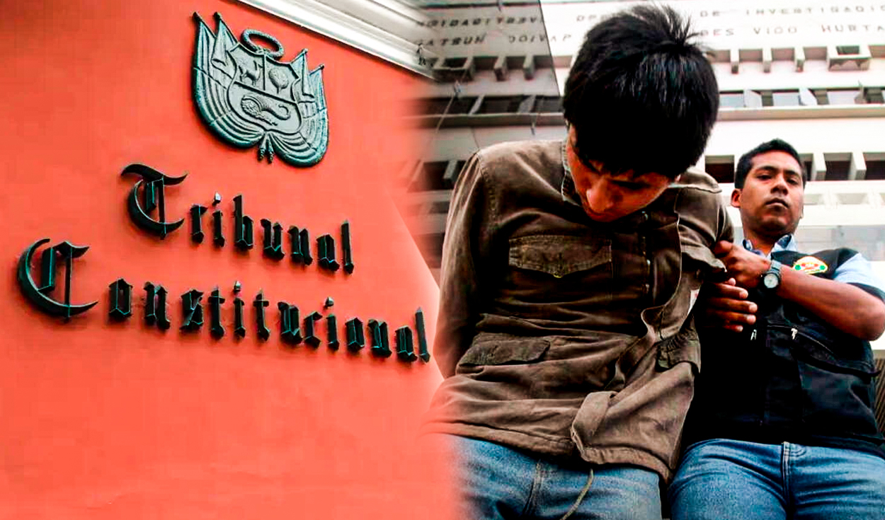 Constitutional Court admits to processing laws against law that penalizes children under 16 and 17 years