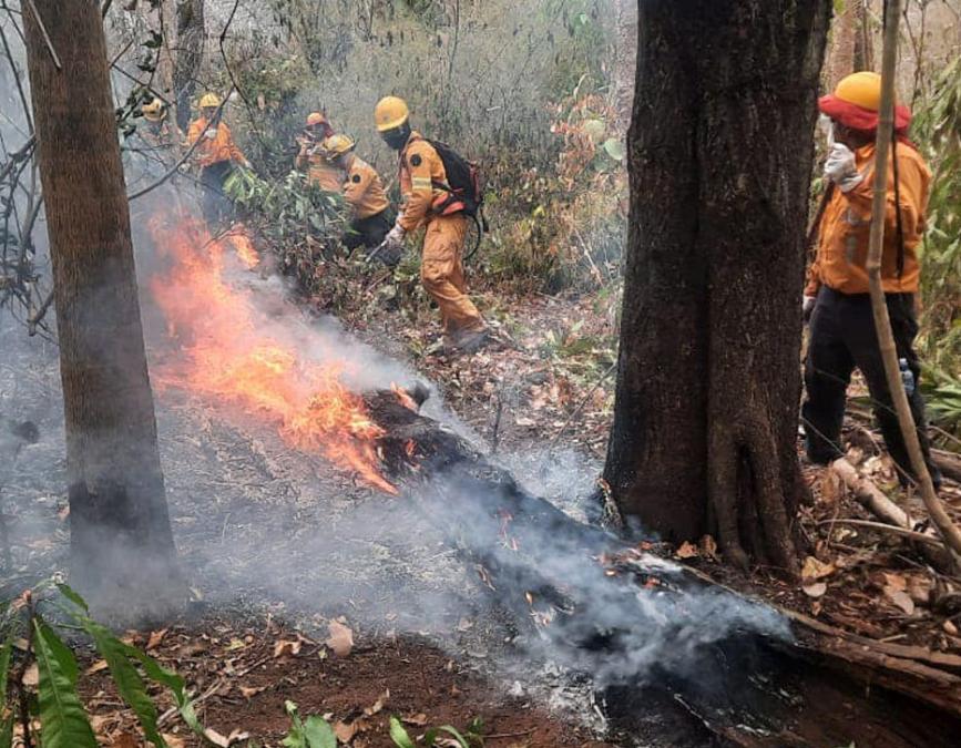 Forest fires: Government counts 17 active fires in Santa Cruz