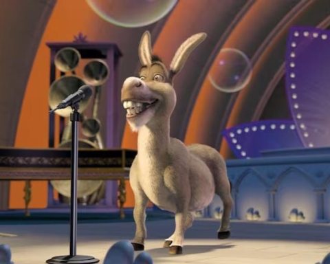 From the swamp to the big screen: the donkey movie with your family will arrive in 2028