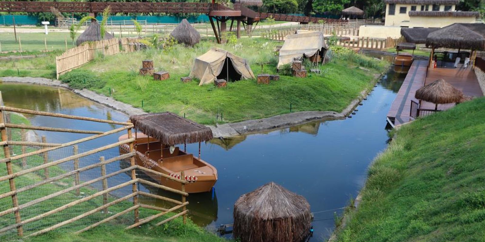 Galinhas d'Angola do BioParque in Rio died of avian flu