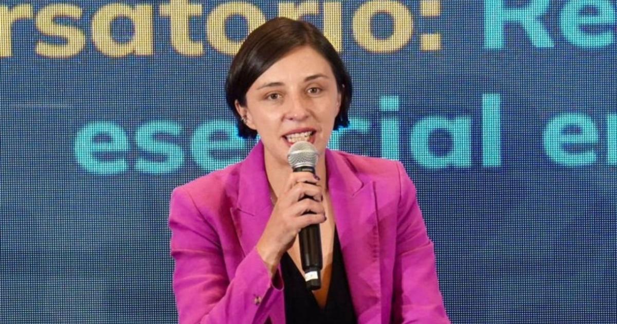 Government announces that this Thursday will file a proposal to regulate the price of Paddy Verde rice