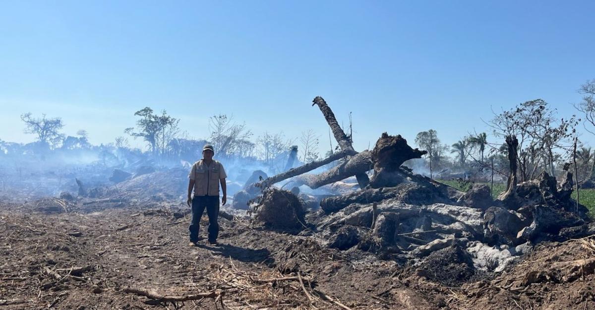 Heat spotlights tripled and Bolivia scale second in the world ranking