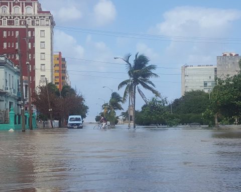 Ibero -American Night of Researchers in Cuba with the focus on climate change