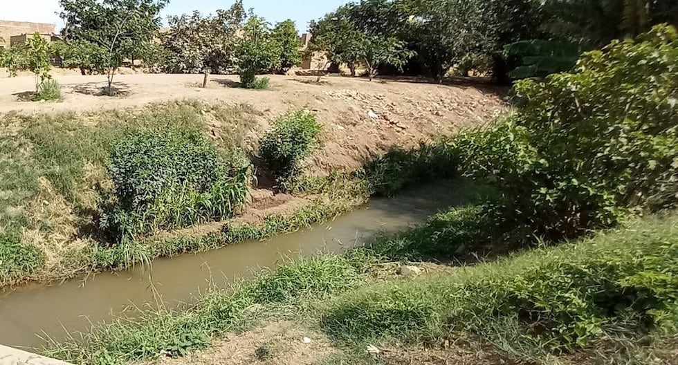 Jauja: Elder who went to wash blankets is found lifeless