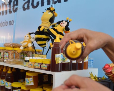 Lula sanctions law that will return taxes from small exporters