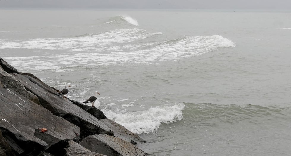 Marina of War raised tsunami alert on Peruvian coast