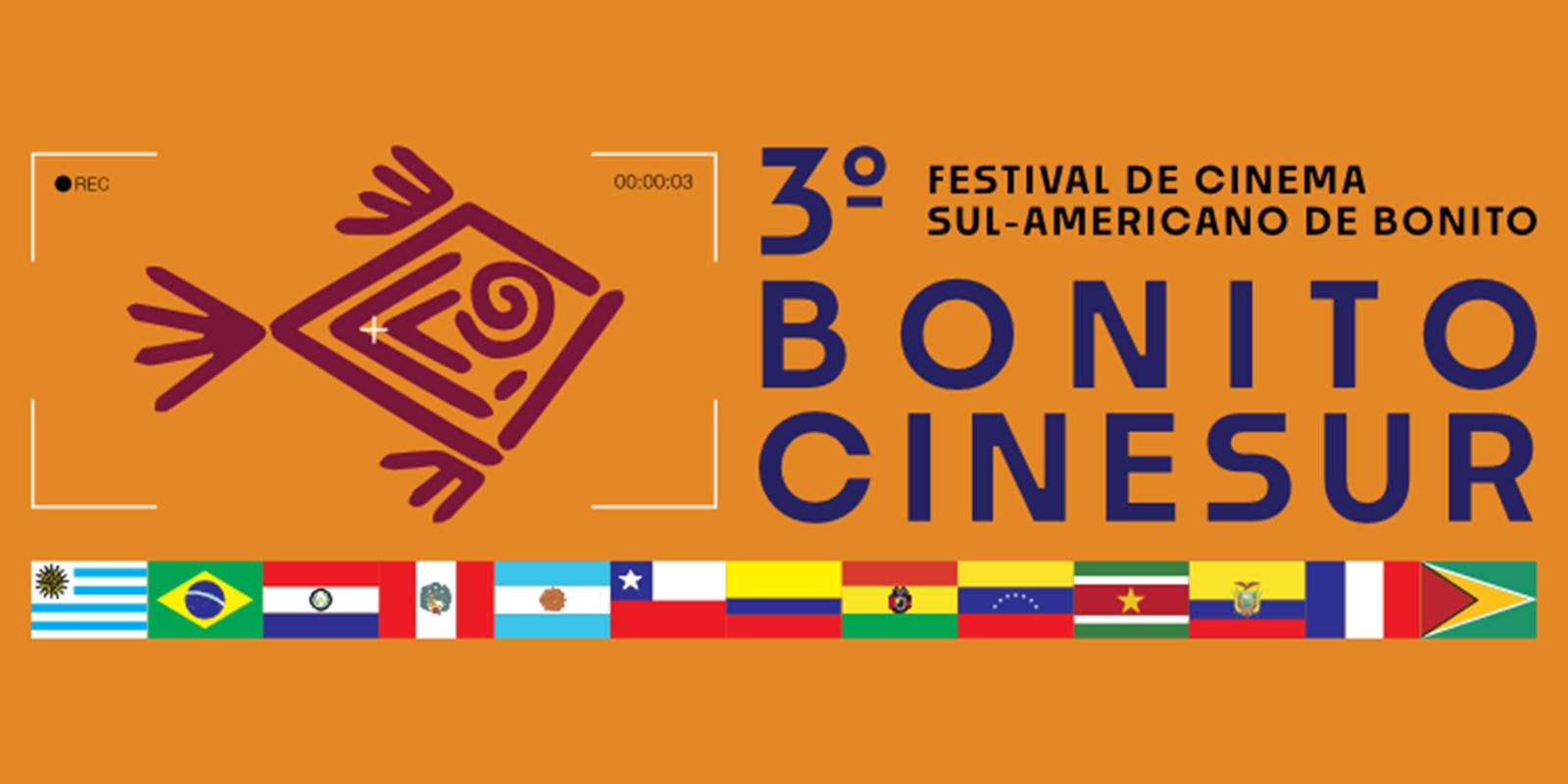 Professor defends cinema in schools to expand and form public